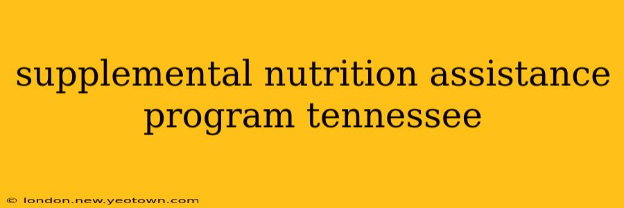 supplemental nutrition assistance program tennessee