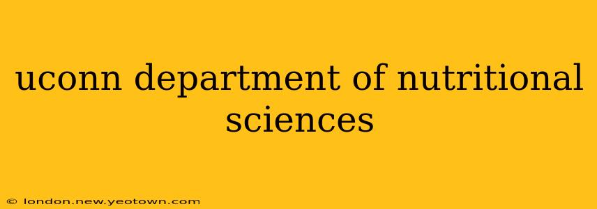 uconn department of nutritional sciences
