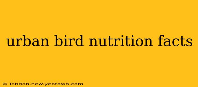 urban bird nutrition facts