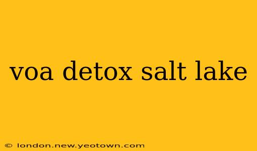 voa detox salt lake