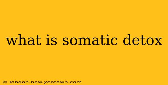 what is somatic detox
