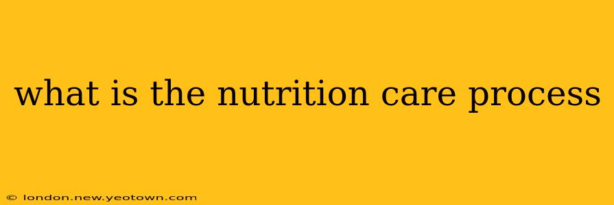 what is the nutrition care process