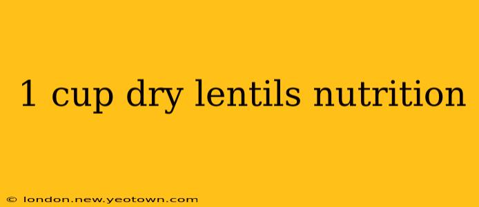 1 cup dry lentils nutrition