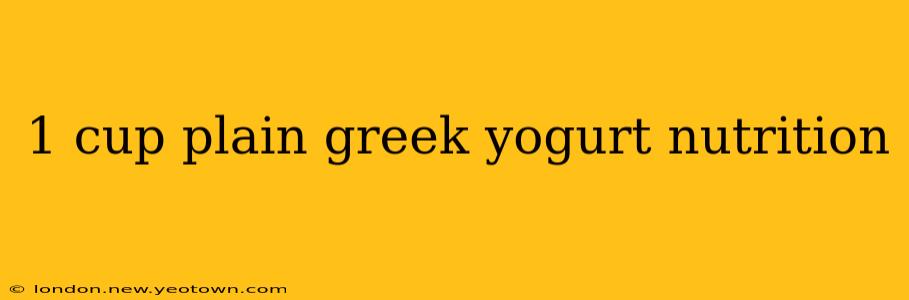 1 cup plain greek yogurt nutrition