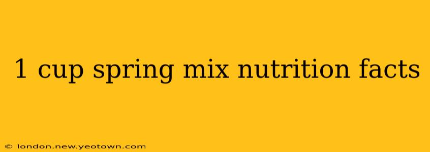 1 cup spring mix nutrition facts
