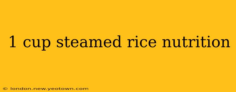 1 cup steamed rice nutrition