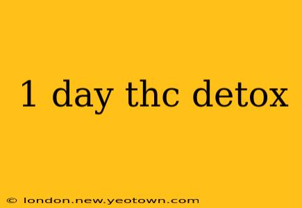 1 day thc detox