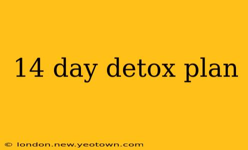 14 day detox plan