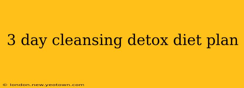 3 day cleansing detox diet plan