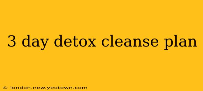 3 day detox cleanse plan