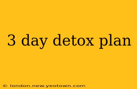 3 day detox plan