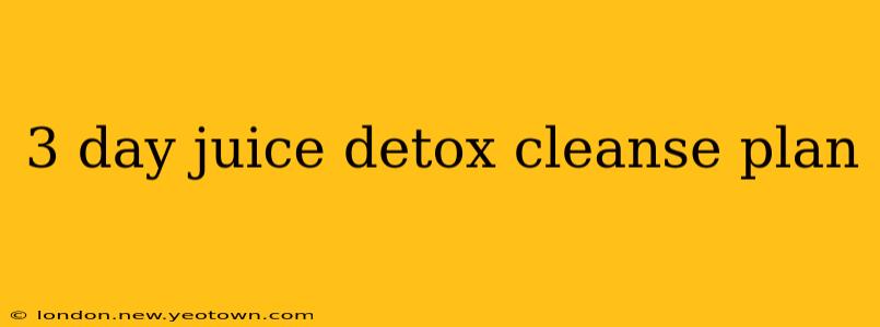 3 day juice detox cleanse plan