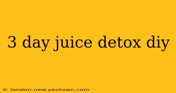 3 day juice detox diy