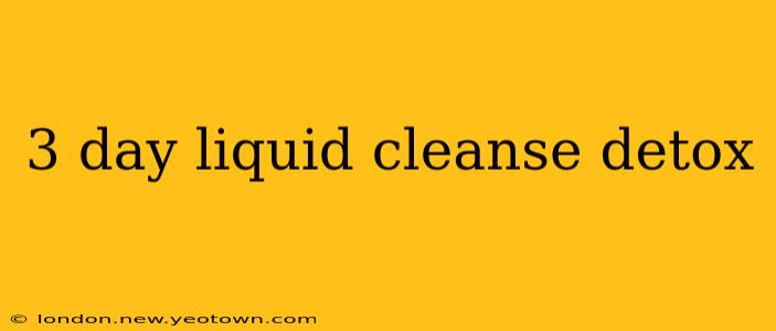 3 day liquid cleanse detox