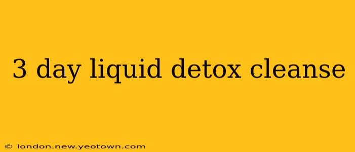 3 day liquid detox cleanse