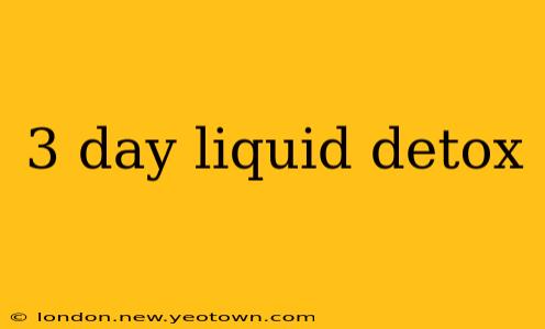 3 day liquid detox