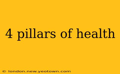 4 pillars of health