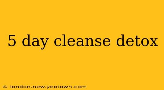 5 day cleanse detox