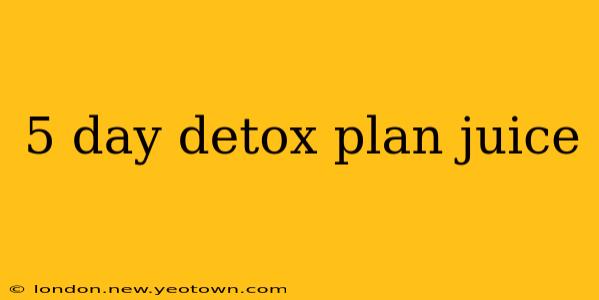 5 day detox plan juice