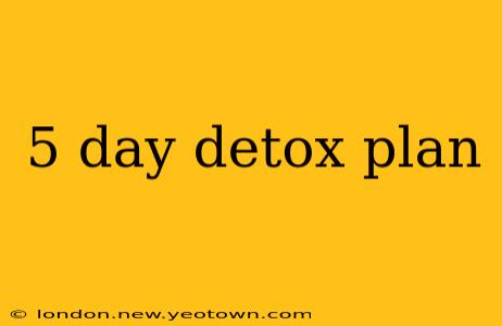 5 day detox plan
