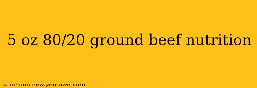 5 oz 80/20 ground beef nutrition