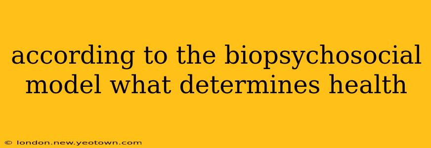 according to the biopsychosocial model what determines health