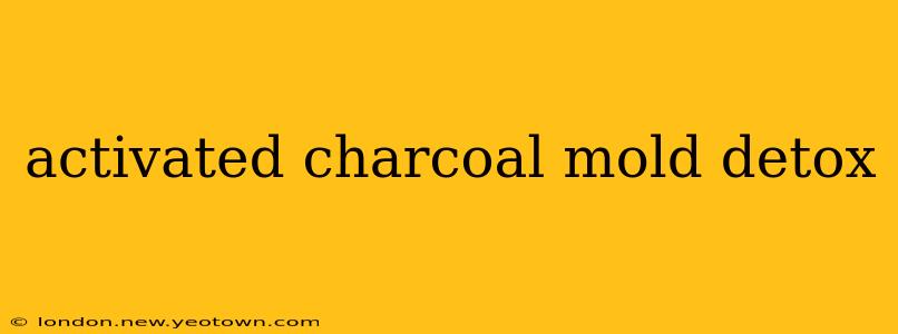 activated charcoal mold detox