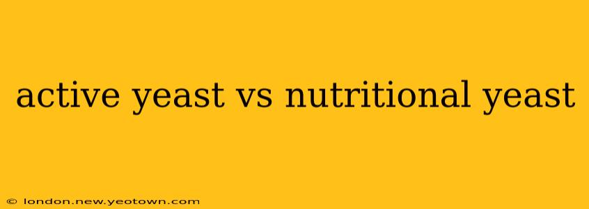 active yeast vs nutritional yeast
