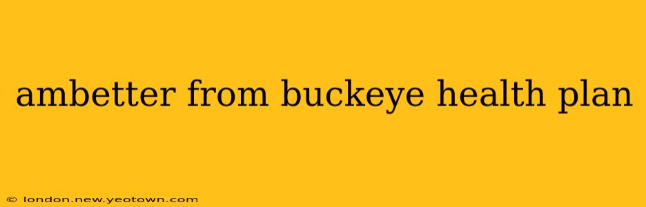 ambetter from buckeye health plan