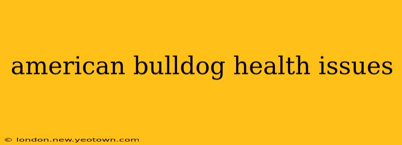 american bulldog health issues