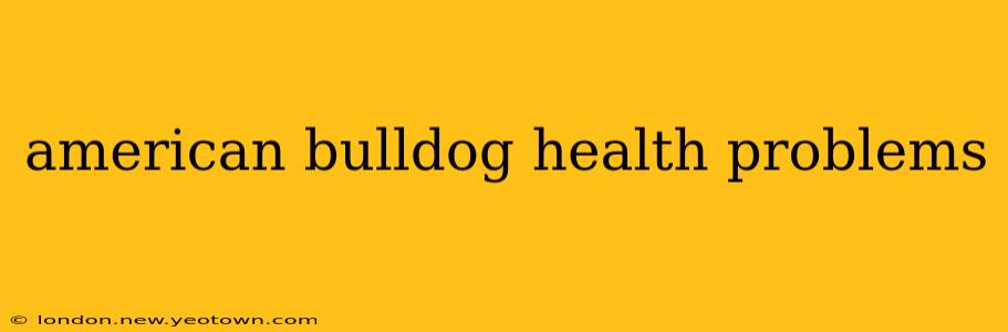 american bulldog health problems