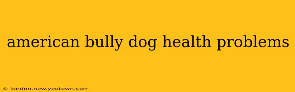 american bully dog health problems