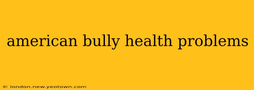 american bully health problems