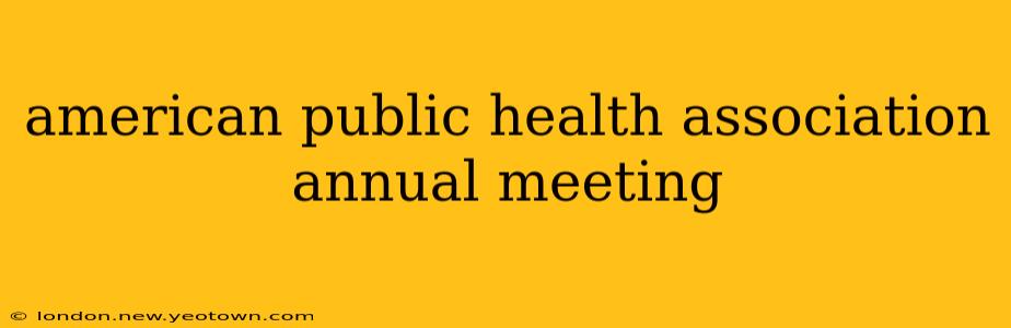 american public health association annual meeting