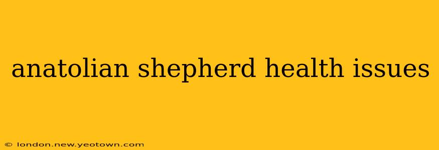 anatolian shepherd health issues