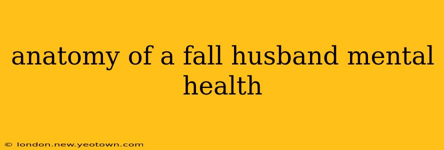 anatomy of a fall husband mental health