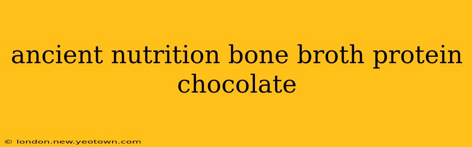 ancient nutrition bone broth protein chocolate