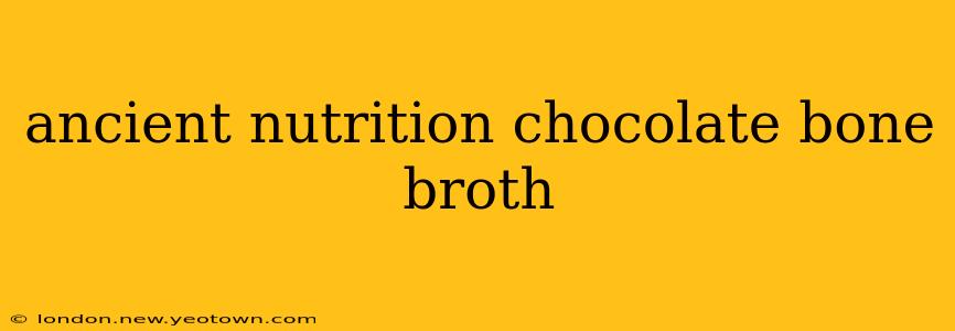 ancient nutrition chocolate bone broth