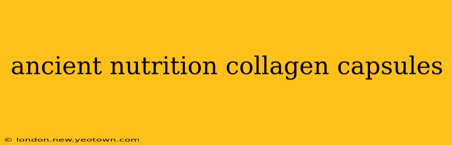 ancient nutrition collagen capsules