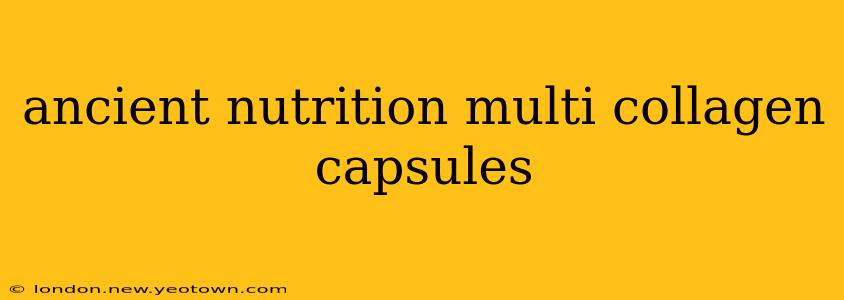 ancient nutrition multi collagen capsules