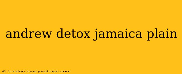 andrew detox jamaica plain