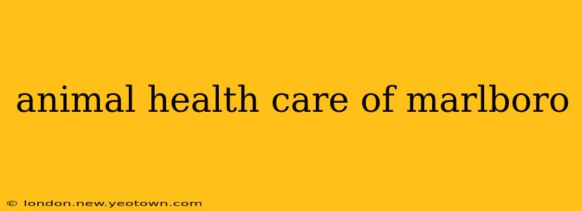 animal health care of marlboro