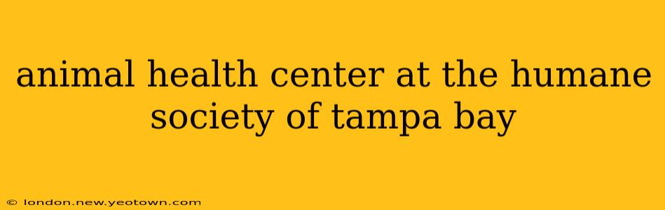animal health center at the humane society of tampa bay