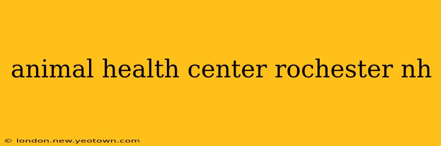 animal health center rochester nh