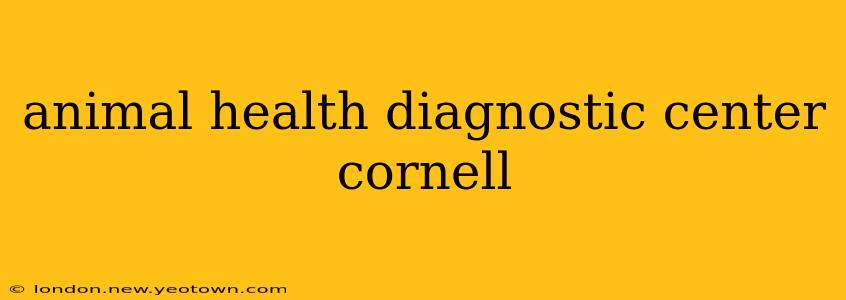 animal health diagnostic center cornell