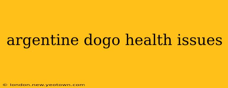 argentine dogo health issues