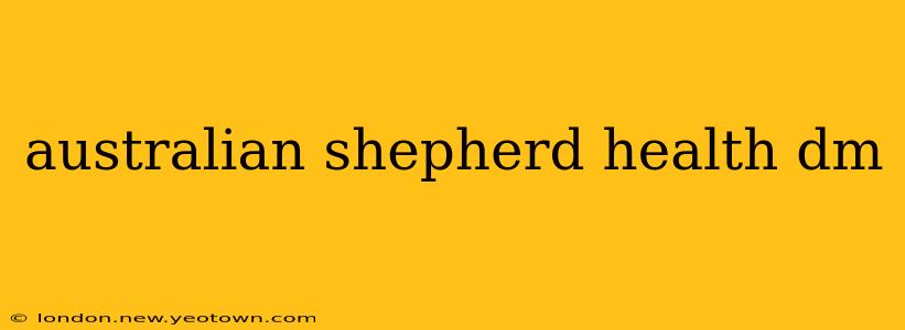 australian shepherd health dm