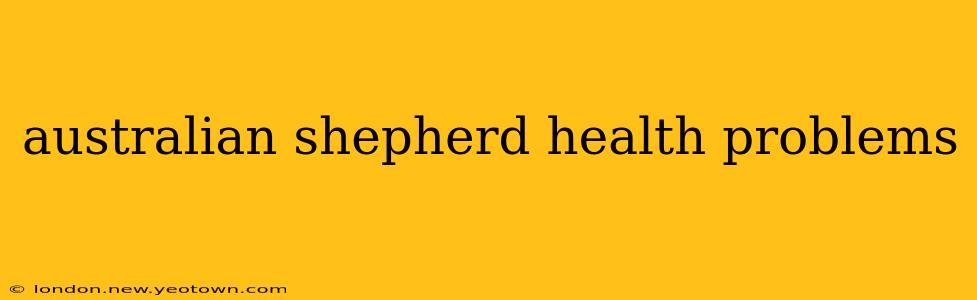 australian shepherd health problems