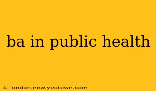 ba in public health
