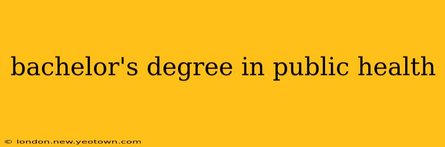 bachelor's degree in public health